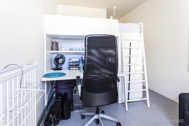 Te Huur Kamer Putsebocht In Rotterdam