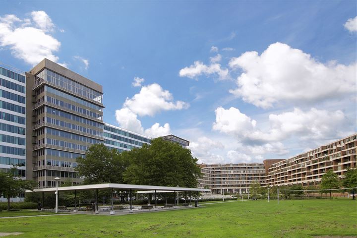 Te Huur Studio Bos en Lommerplantsoen In Amsterdam