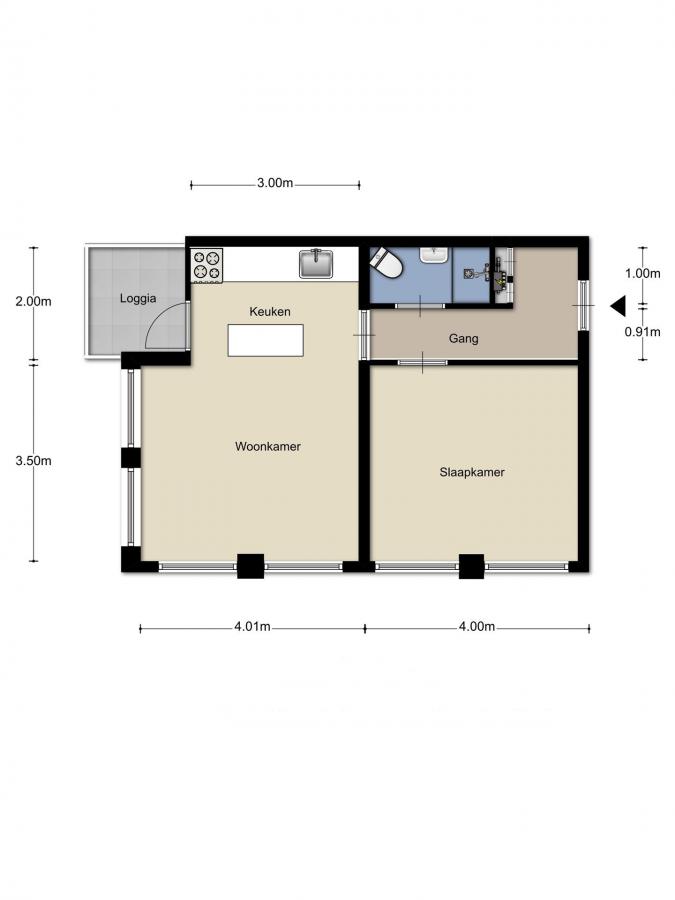 Te Huur 2 Kamer Appartement Neerstraat In Den Bosch
