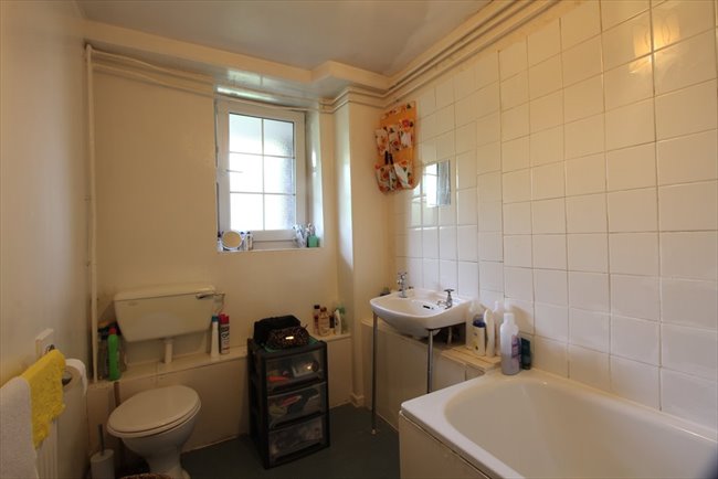 Te Huur Studio Cornelis Houtmanstraat In Den Haag