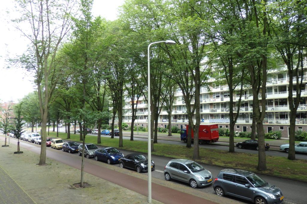 Te Huur 4 Kamer Appartement Volendamlaan In Den Haag