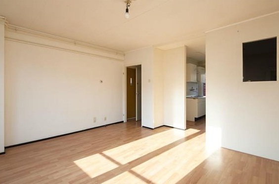 Te Huur 2 Kamer Appartement Van Heemskerckstraat In Amsterdam