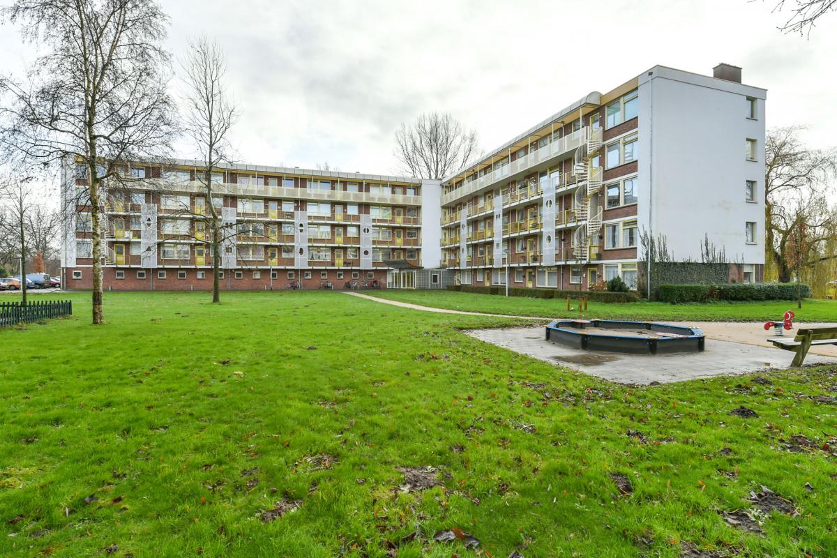 Te Huur 3 Kamer Appartement Leverkruidweg In Zaandam