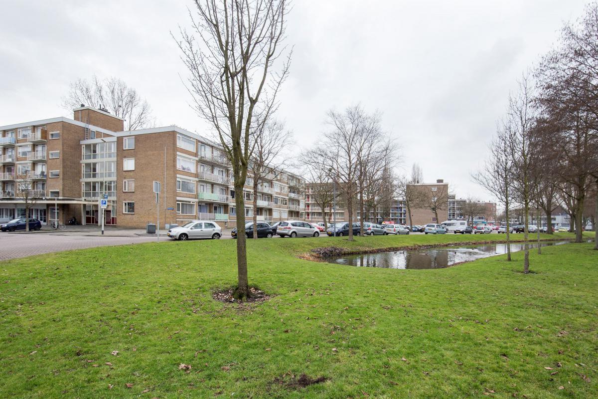 Te Huur 3 Kamer Appartement Heymansstraat In Rotterdam