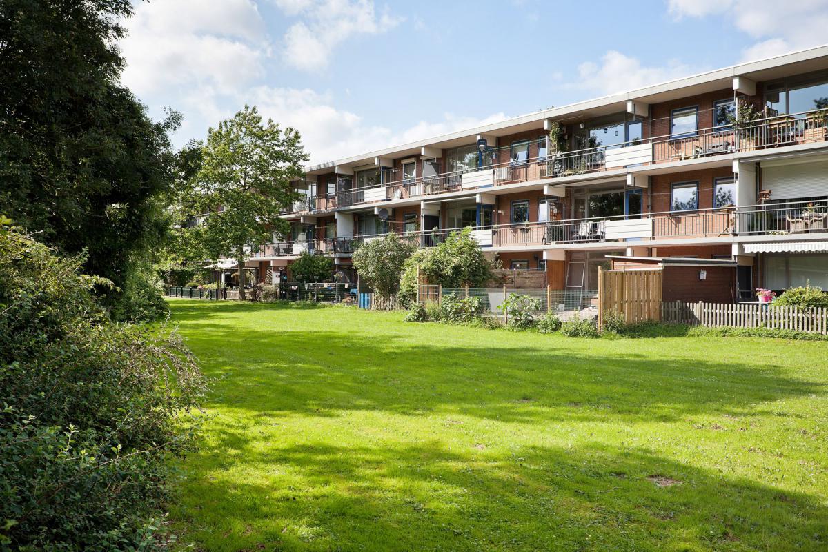 Te Huur 3 Kamer Appartement Orionsingel In Arnhem