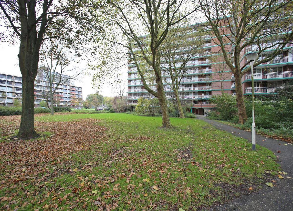 Te Huur 2 Kamer Appartement Binnenwater In Zoetermeer
