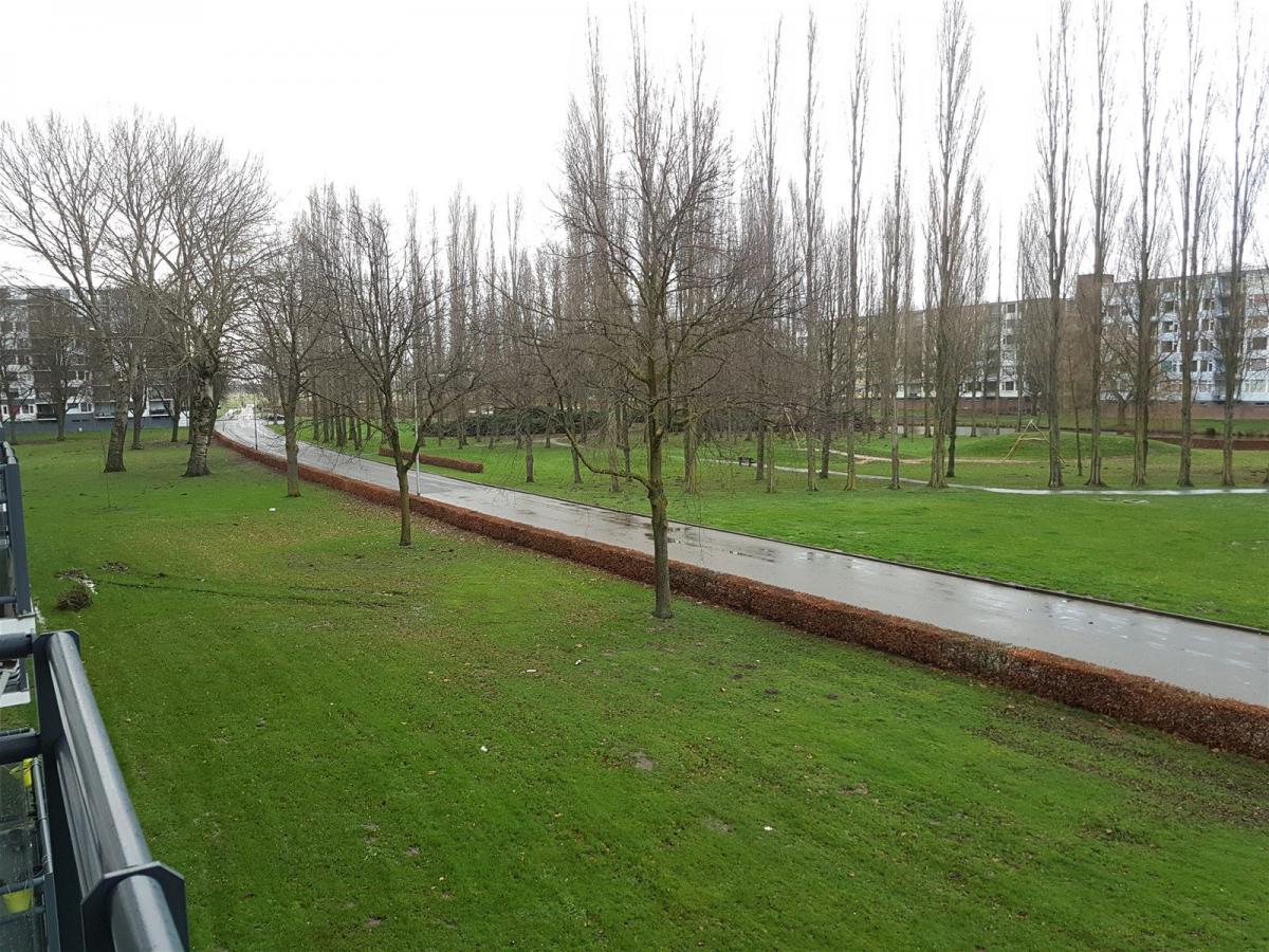 Te Huur 3 Kamer Appartement Kasterleestraat In Breda