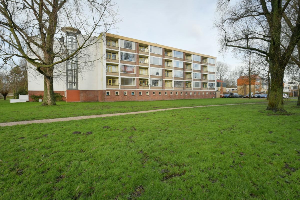 Te Huur 3 Kamer Appartement Leverkruidweg In Zaandam