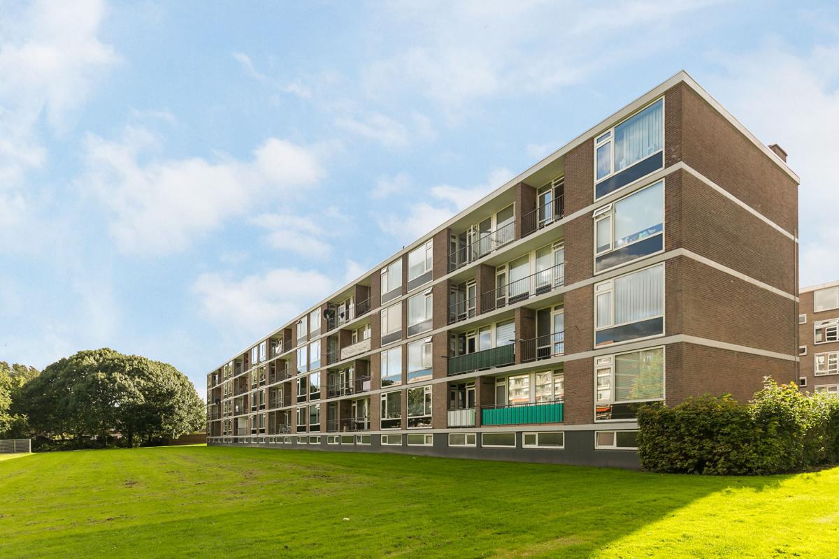 Te Huur 3 Kamer Appartement Quadenoord In Rotterdam