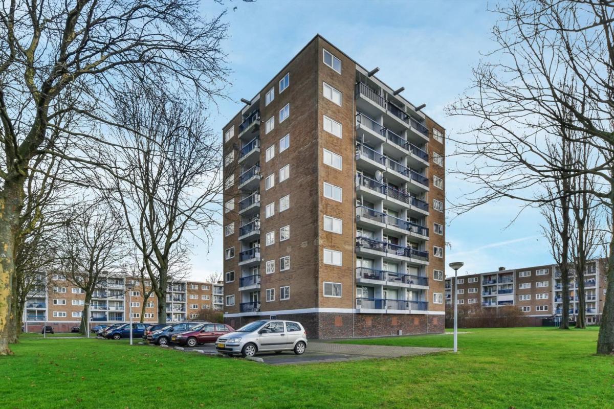 Te Huur 2 Kamer Appartement Zuidervaart In Zaandam