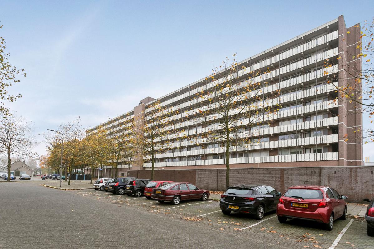 Te Huur 3 Kamer Appartement Nederlandplein In Eindhoven