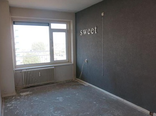 Te Huur 2 Kamer Appartement Burgemeester Hazenberglaan In Rotterdam