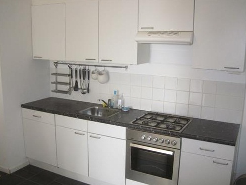 Te Huur 2 Kamer Appartement Jacques Urlusplantsoen In Leiden