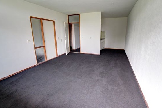 Te Huur 2 Kamer Appartement Cuyleborg In Maastricht