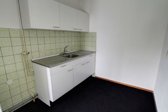 Te Huur 2 Kamer Appartement Cuyleborg In Maastricht