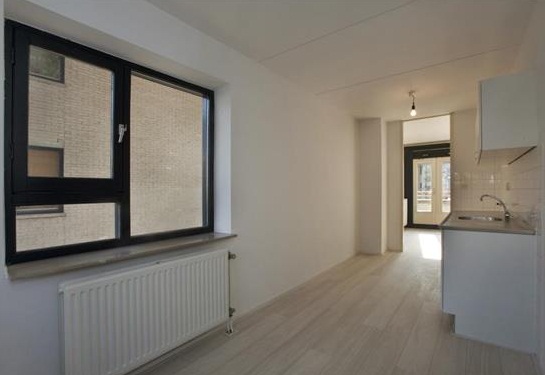 Te Huur 2 Kamer Appartement Boeninlaan In Amsterdam
