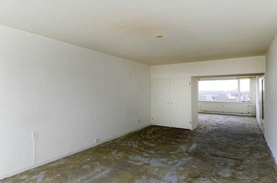 Te Huur 5 Kamer Appartement Forellendaal In Den Haag