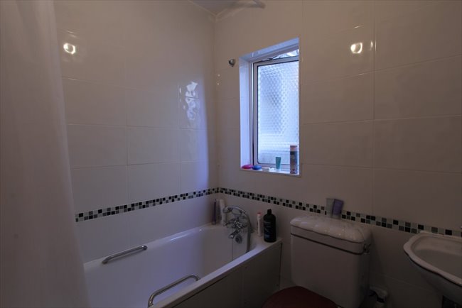 Te Huur Studio Noordeinde In Den Haag