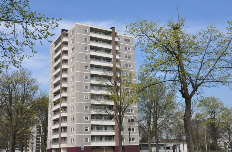 Te Huur 3 Kamer Appartement Ierlandstraat In Haarlem