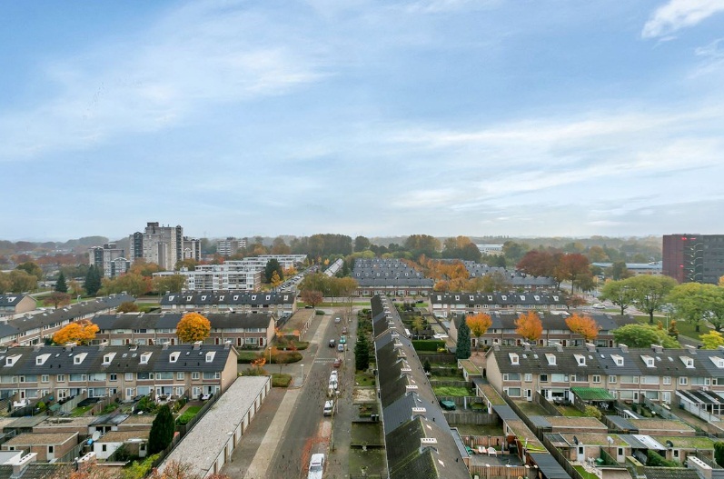 Te Huur 2 Kamer Appartement Venuslaan In Eindhoven