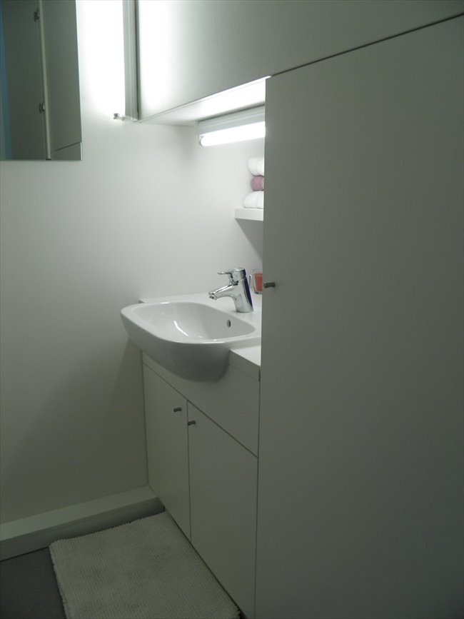 Te Huur Kamer Breitnerstraat In Rotterdam