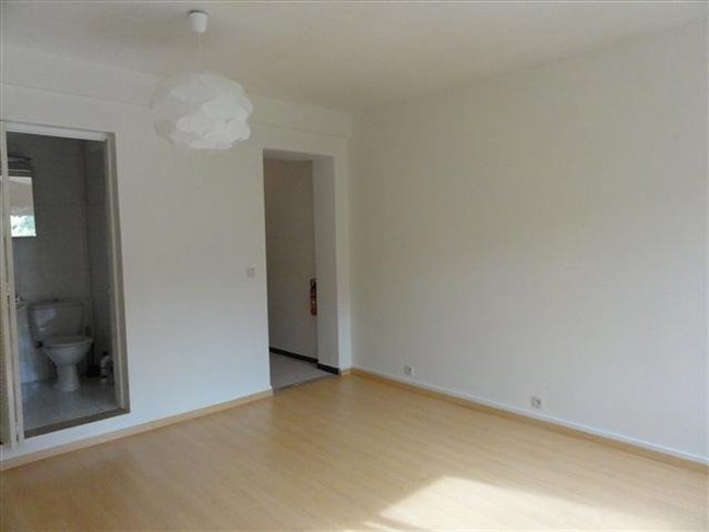 Te Huur Studio Regentesseplein In Den Haag