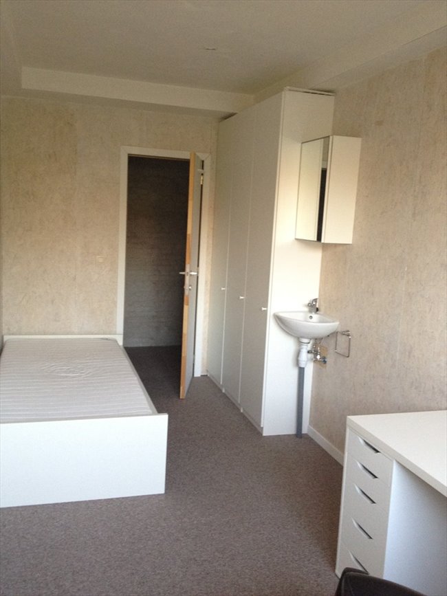 Te Huur Kamer Rosier Faassenstraat In Rotterdam