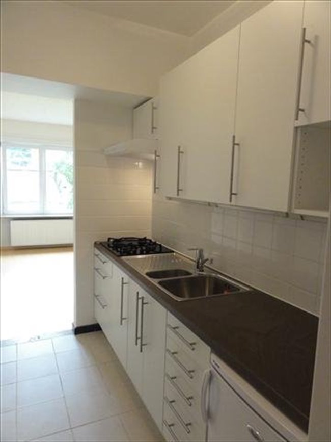 Te Huur Studio Regentesseplein In Den Haag