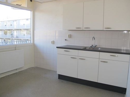 Te Huur 4 Kamer Appartement Bosboom-Toussaintplein In Delft