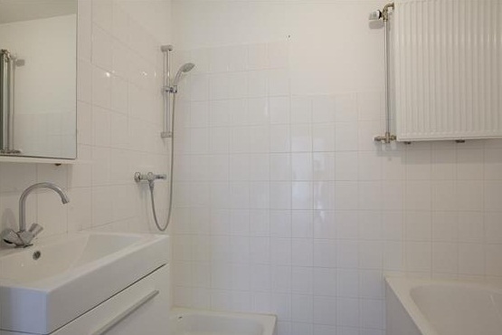 Te Huur 3 Kamer Appartement Hermitage In Zaandam