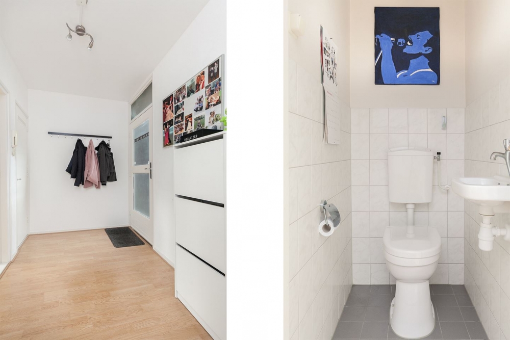 Te Huur Studio Bos en Lommerplantsoen In Amsterdam