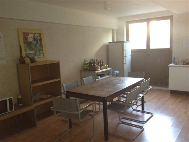 Te Huur Kamer Rosier Faassenstraat In Rotterdam