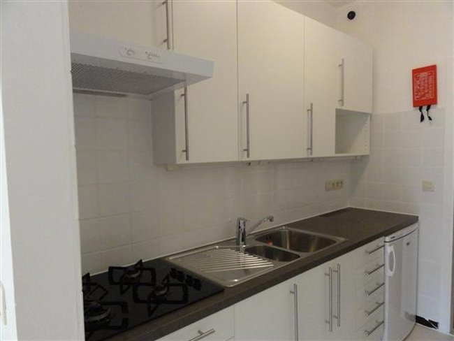 Te Huur Studio Regentesseplein In Den Haag