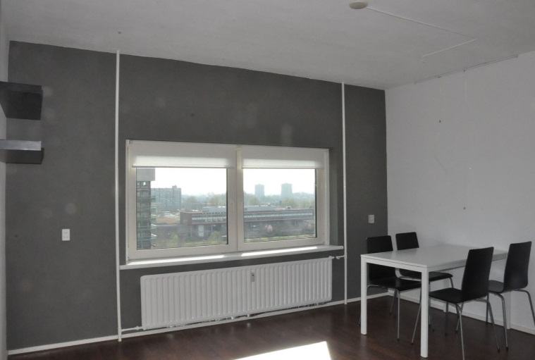 Te Huur 3 Kamer Appartement Ierlandstraat In Haarlem