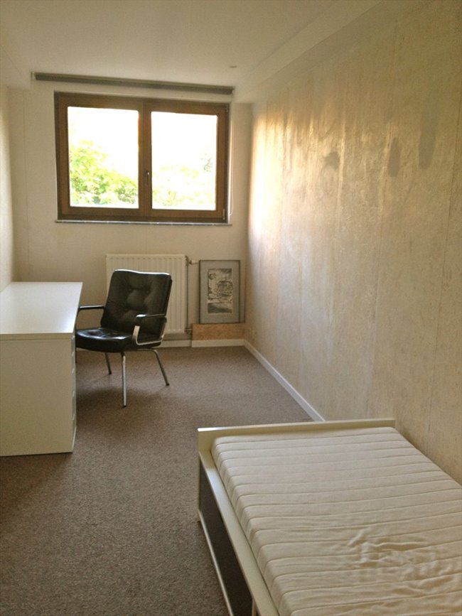 Te Huur Kamer Rosier Faassenstraat In Rotterdam
