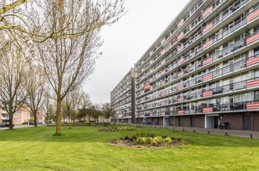 Te Huur 2 Kamer Appartement Trekvogelweg In Amersfoort