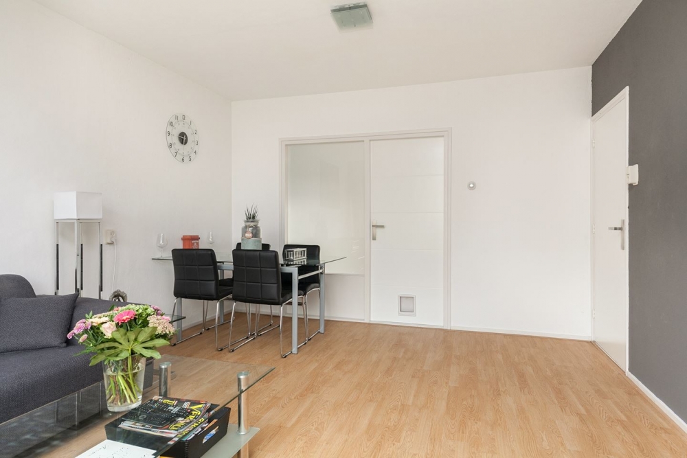 Te Huur Studio Bos en Lommerplantsoen In Amsterdam