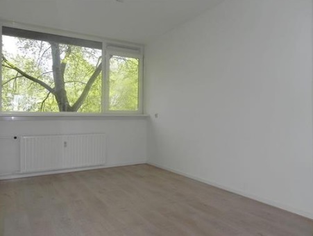 Te Huur 2 Kamer Appartement Trekvogelweg In Amersfoort