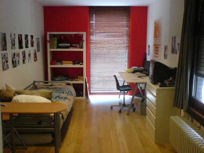 Te Huur Studio Posthoornstraat In Rotterdam