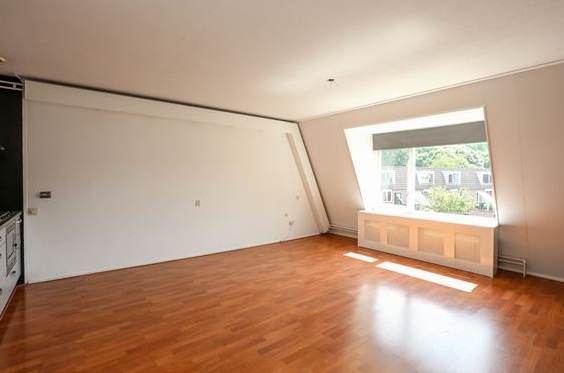 Te Huur Kamer Rodenrijselaan In Rotterdam