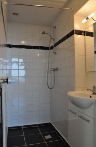 Te Huur 3 Kamer Appartement Ierlandstraat In Haarlem