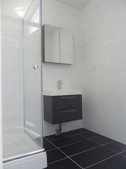 Te Huur 2 Kamer Appartement Trekvogelweg In Amersfoort