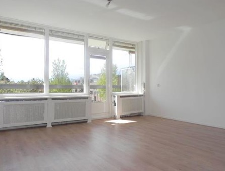 Te Huur 2 Kamer Appartement Trekvogelweg In Amersfoort