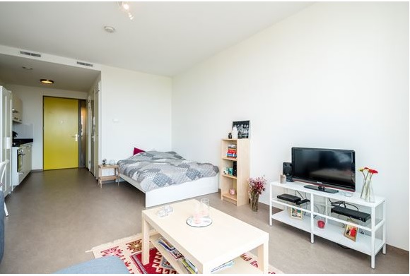 Te Huur Studio Wagendwarsstraat In Utrecht