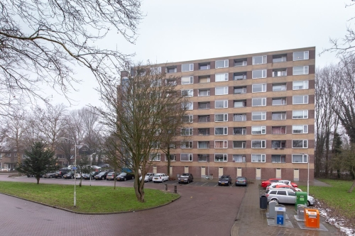Te Huur 4 Kamer Appartement Fluitekruidweg In Zaandam