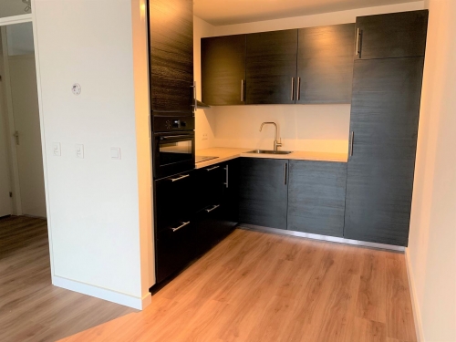 Te Huur 3 Kamer Appartement Rietvinkstraat In Eindhoven