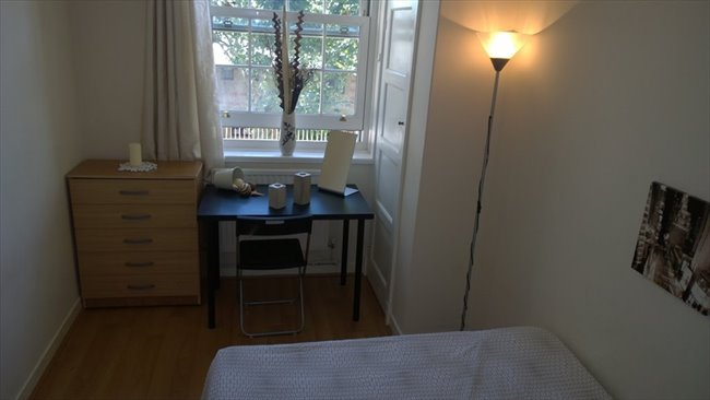Te Huur Kamer Zoutmanstraat In Den Haag