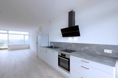 Te Huur 4 Kamer Appartement Herculeshof In Maastricht