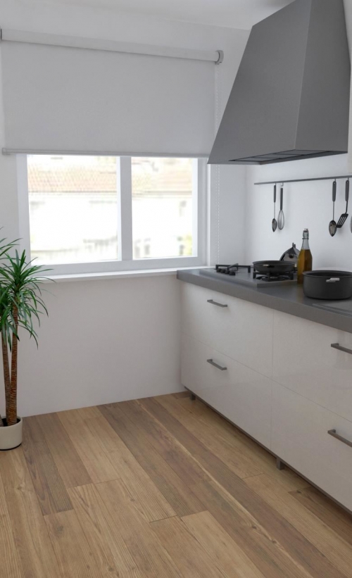 Te Huur 2 Kamer Appartement Reigerstraat In Dordrecht