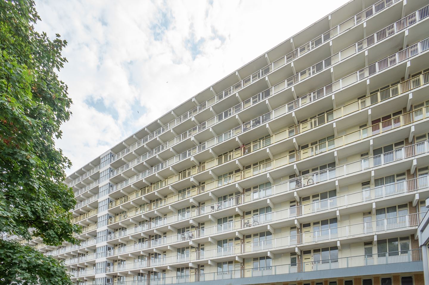 Te Huur 3 Appartement Hofgeest In Amsterdam